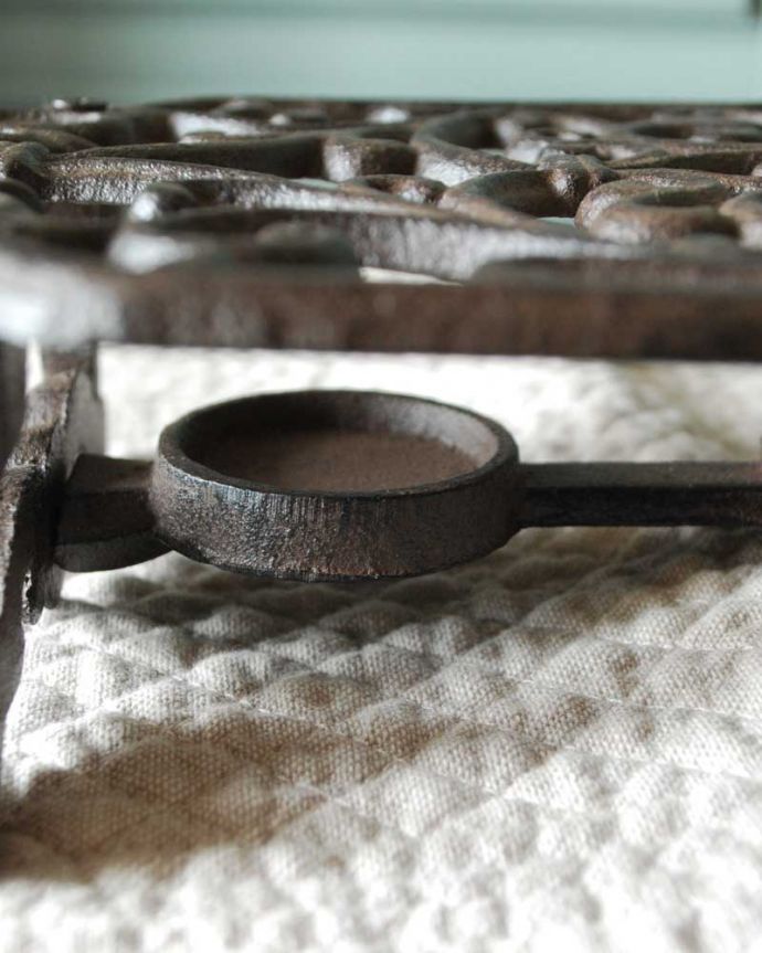 フランスのディッシュウォーマー