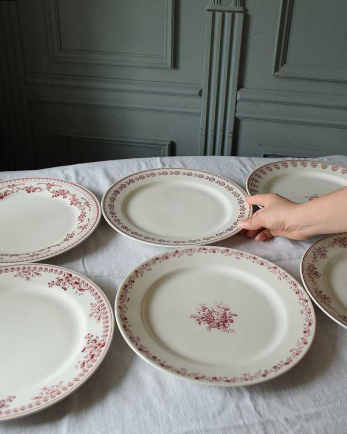 コントワールドファミーユ　インテリア雑貨　コントワール・ドゥ・ファミーユ　ディナープレートセット(フォスティーヌ・6柄アソート)。大きさはコレくらいです。(cf-752)