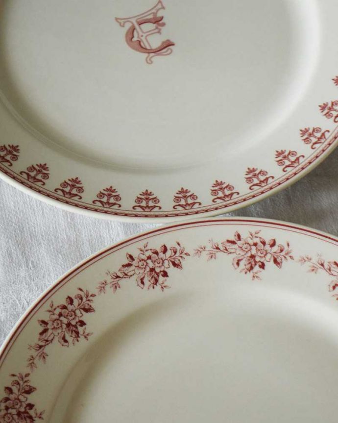 コントワールドファミーユ　インテリア雑貨　コントワール・ドゥ・ファミーユ　ディナープレートセット(フォスティーヌ・6柄アソート)。それぞれに個性のあるバラいろんなバラの模様が描かれていますが、どれも美しい～！見る人みんなを楽しませてくれます。(cf-752)