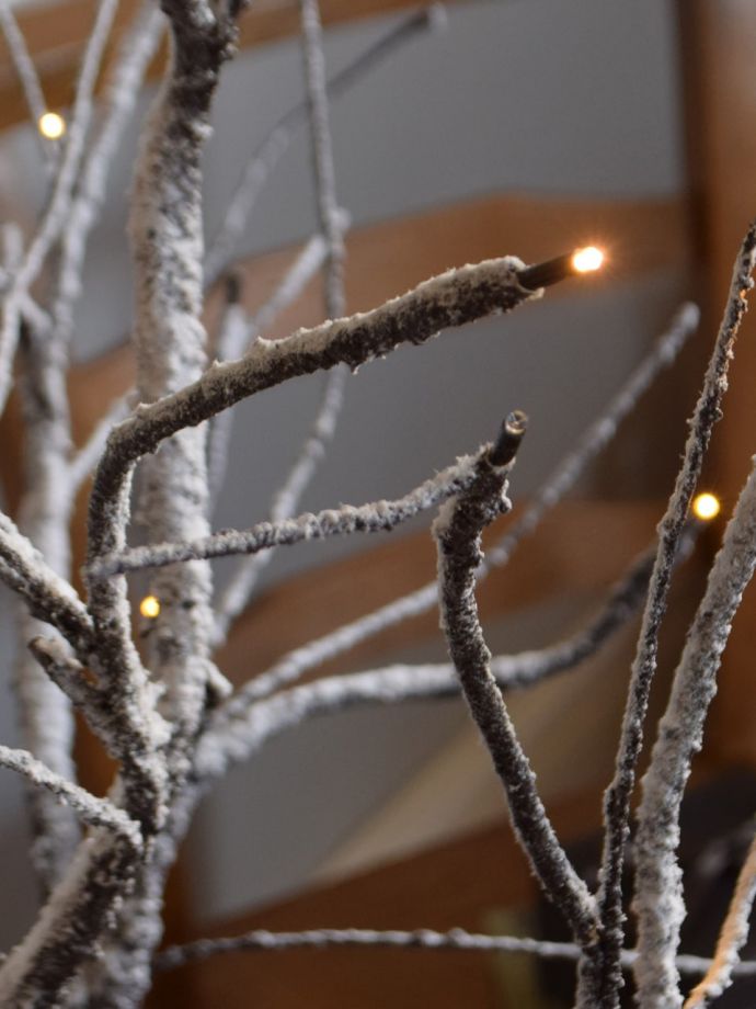 LEDライトが付いたクリスマスツリー