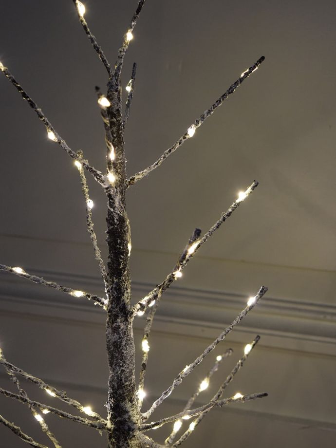 LEDライトが付いたクリスマスツリー