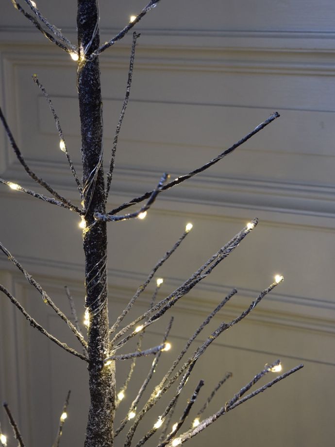 LEDライトが付いたクリスマスツリー