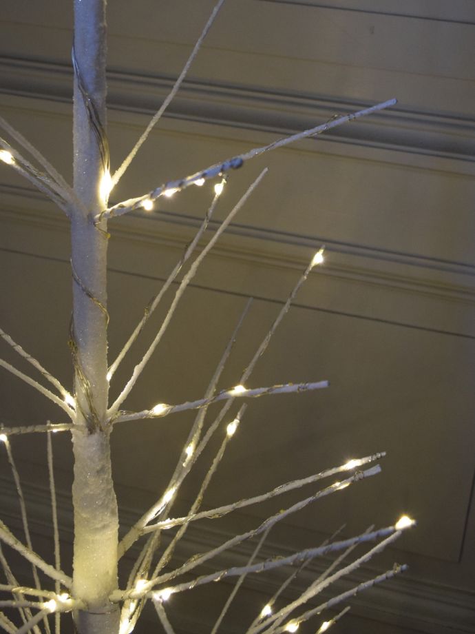 LEDライトが付いたクリスマスツリー