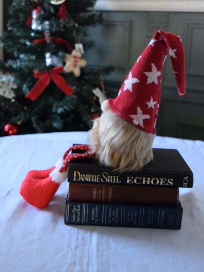 北欧の妖精トムテの横顔