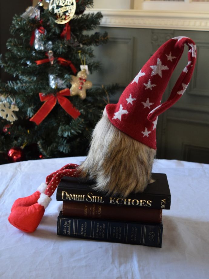 北欧の妖精トムテの横顔