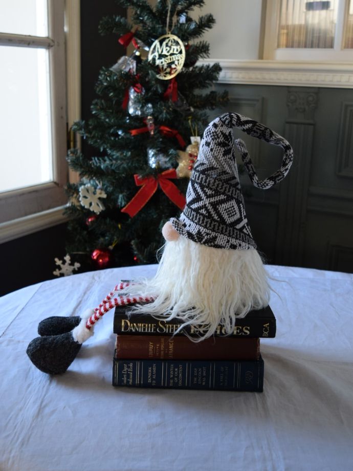 北欧の妖精トムテの横顔