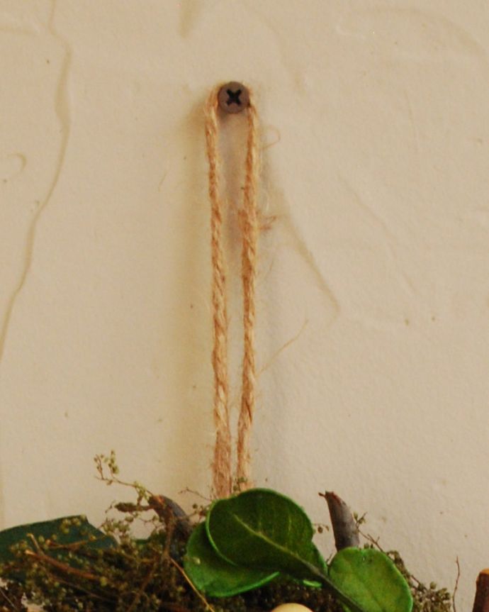 届いてすぐに使えます