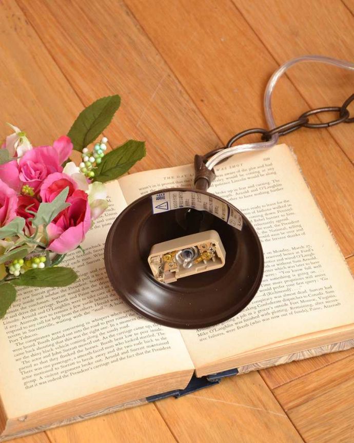 シャンデリア　照明・ライティング　ゲージの中で輝くガラスのビーズが美しいアンティーク風のシャンデリア(1灯)（Ｅ17電球付） 。。(cr-528)