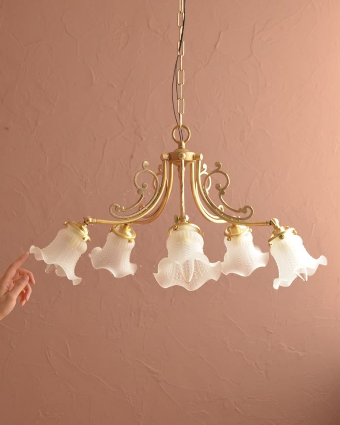 シャンデリア　照明・ライティング　アンティーク風のガラスシェード付きシャンデリア（5灯・電球なし）　(cr-548-g)