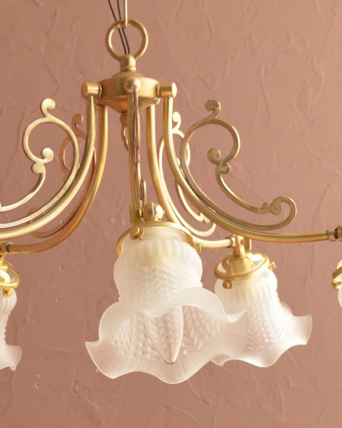 シャンデリア　照明・ライティング　アンティーク風のガラスシェード付きシャンデリア（5灯・電球なし）　(cr-548-g)