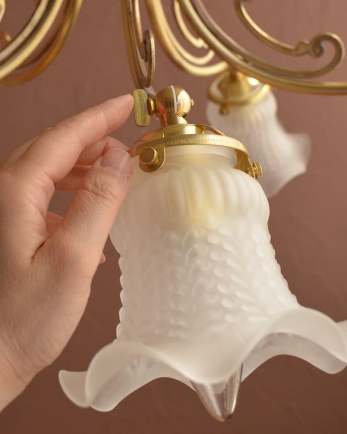 シャンデリア　照明・ライティング　アンティーク風のガラスシェード付きシャンデリア（5灯・電球なし）　(cr-548-g)