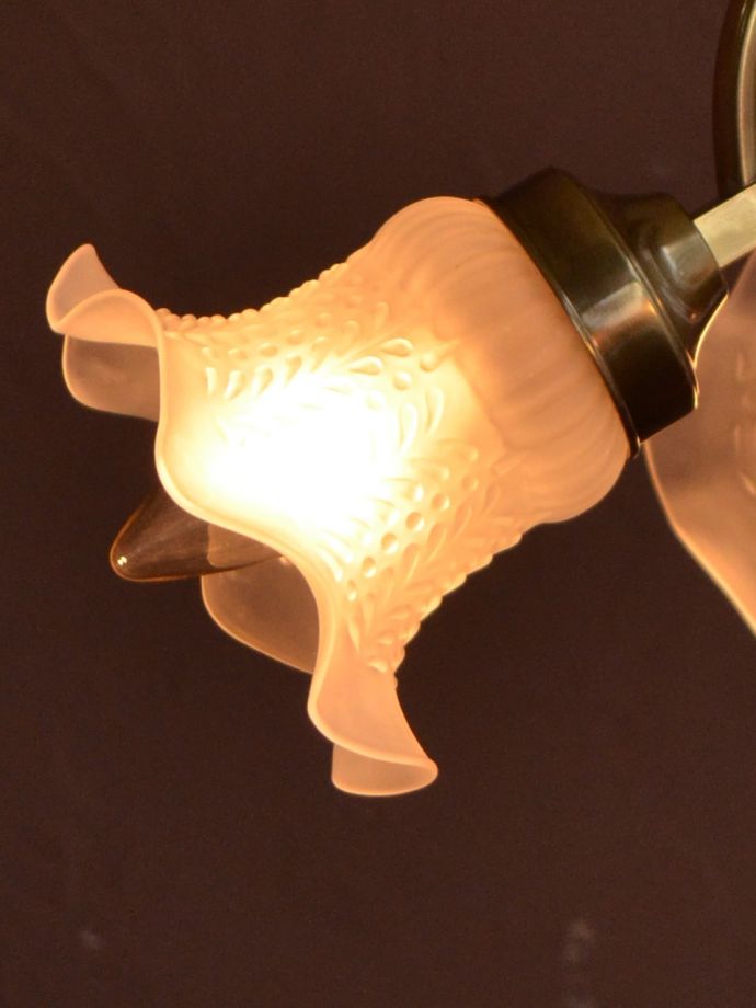 LED電球も使えます