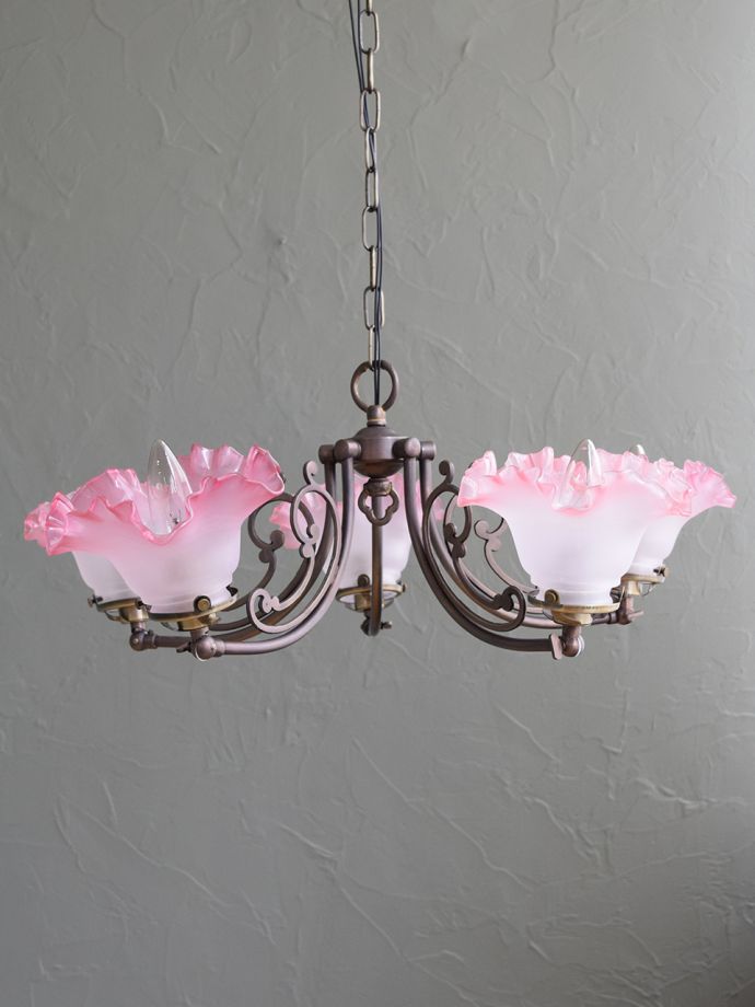 上向きも楽しめます