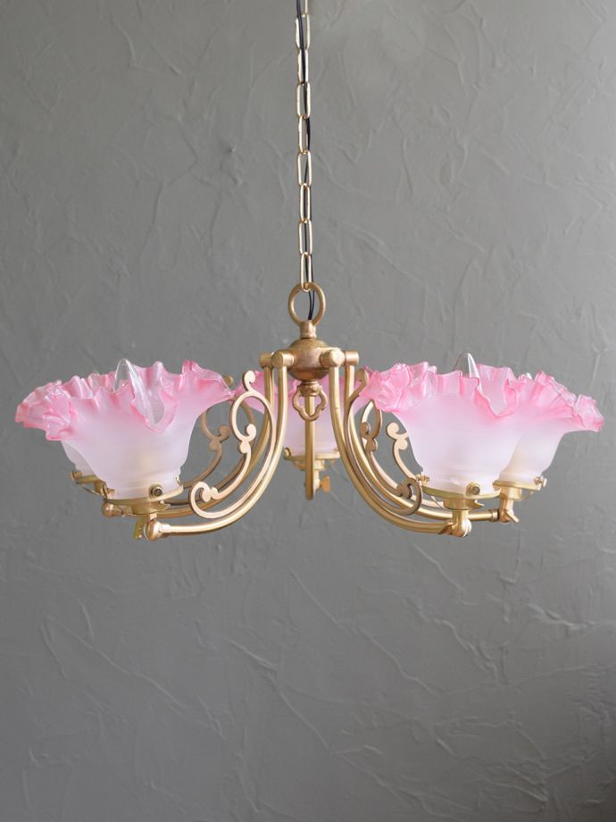 上向きも楽しめます