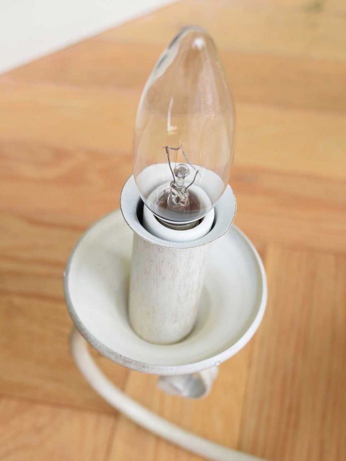 電球も一緒にお付けします