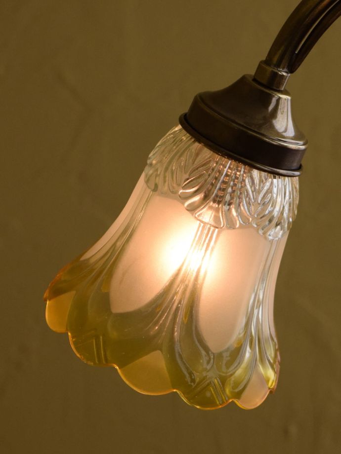 LED電球も使えます