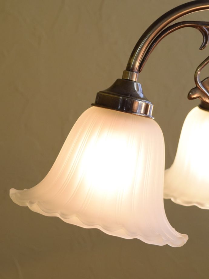 LED電球も使えます