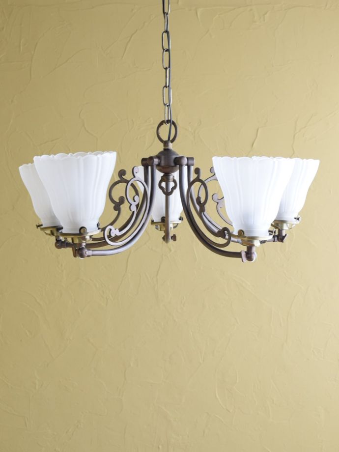 上向きも楽しめます