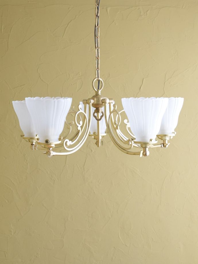  上向きも楽しめます