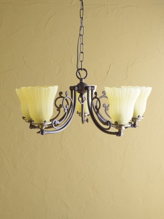 上向きも楽しめます