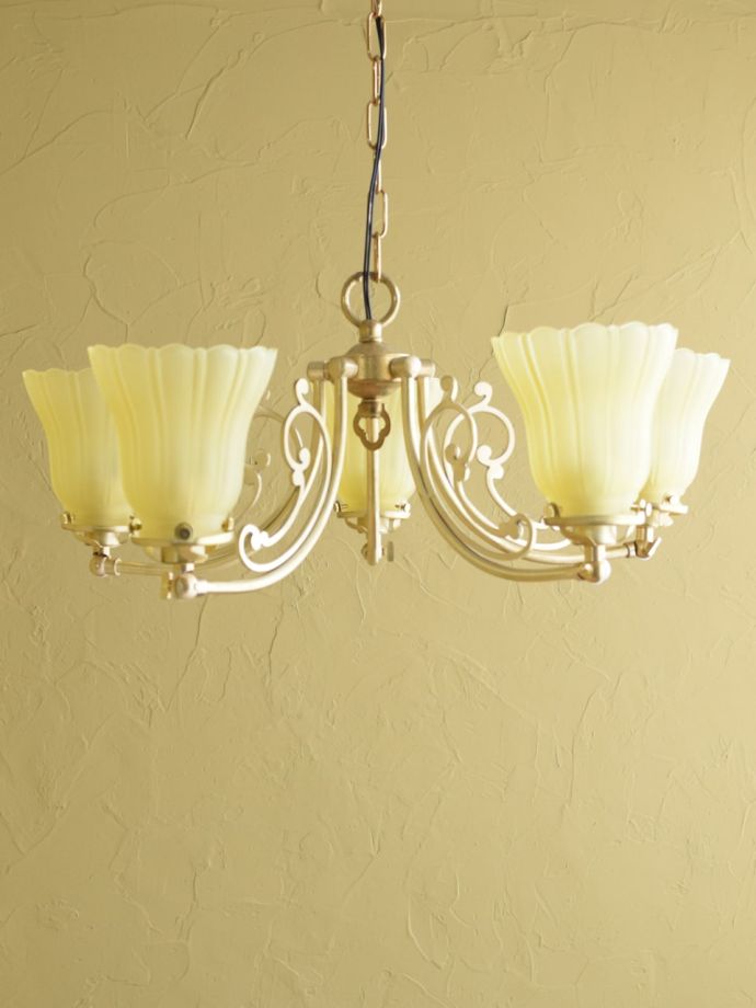 上向きも楽しめます