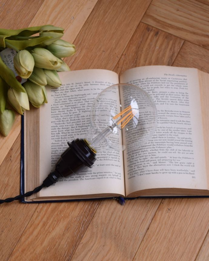 電球・オプション 照明・ライティング LED電球 シャンデリア球/ローソク型(E26口金・500lm)。見た目も満足フィラメント部分も白熱球のように仕上げてあるので満足して頂けます。(DK-6)