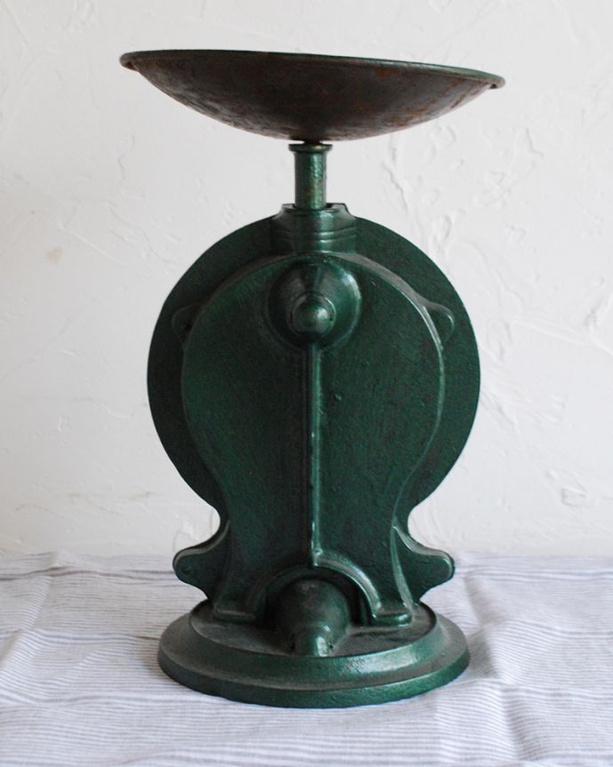 スケールの後ろ