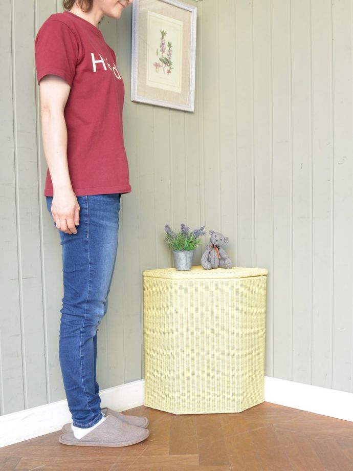 アンティークのロイドルームボックス