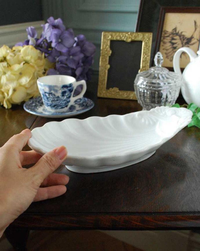 アンティーク 陶磁器の雑貨　アンティーク雑貨　フランスらしいアンティーク雑貨、優雅なシェル型のアンティークプレート。飾って使って楽しむアンティーク実用的に一番使いやすいサイズ。(d-1482-z)