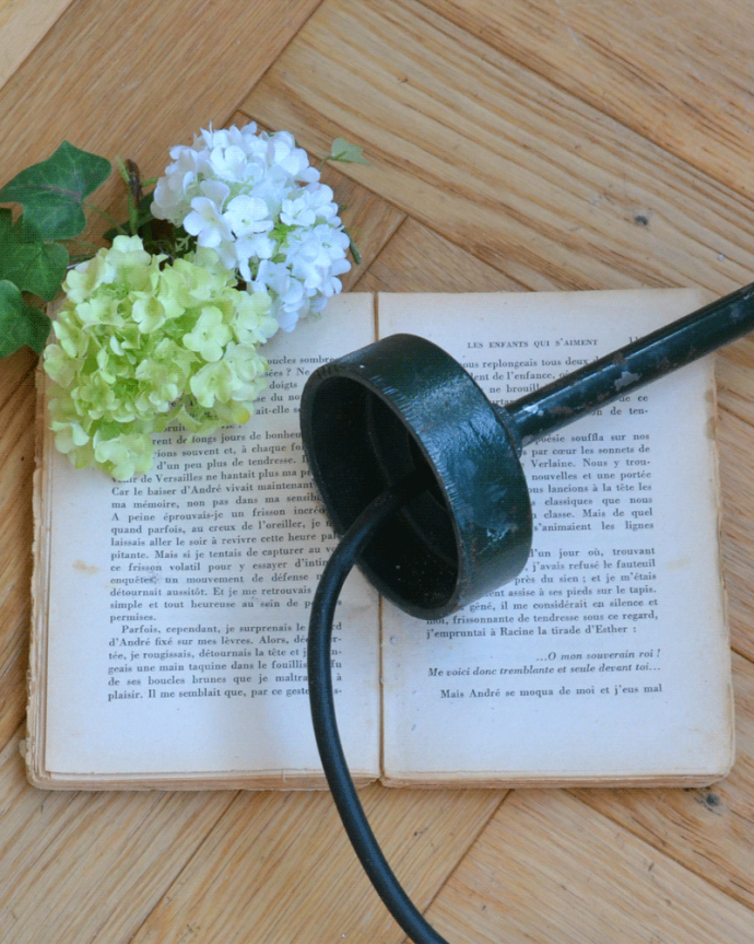 壁付けブラケット　照明・ライティング　フランス輸入のアンティークポーチライト(外灯）、グリーンのデッキランプ（E26球）。。(d-1581-z)