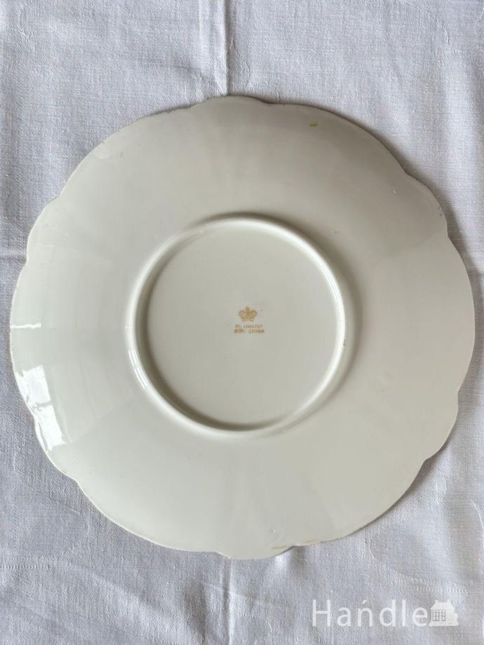 プレートの後ろ