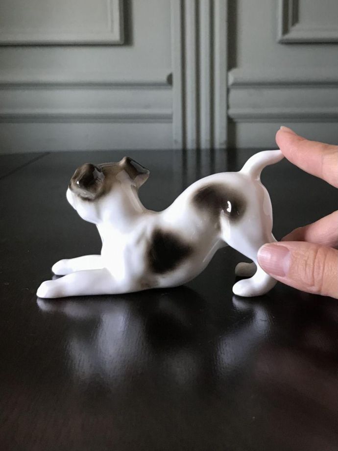 大きさはこれくらいです