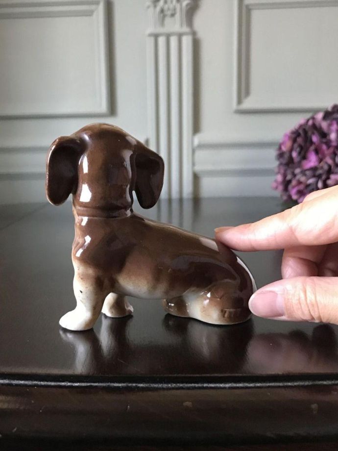 大きさはこれくらいです