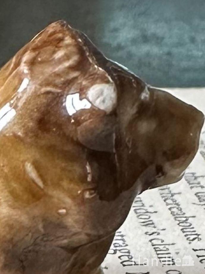 カケがありました。