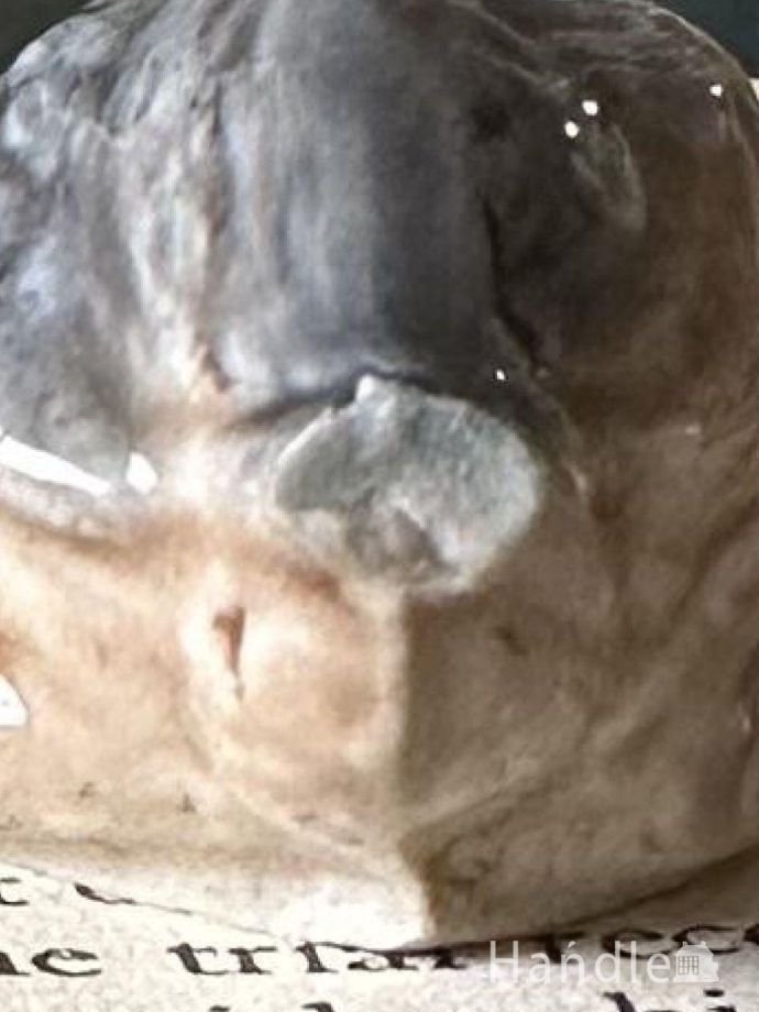 カケがありました。