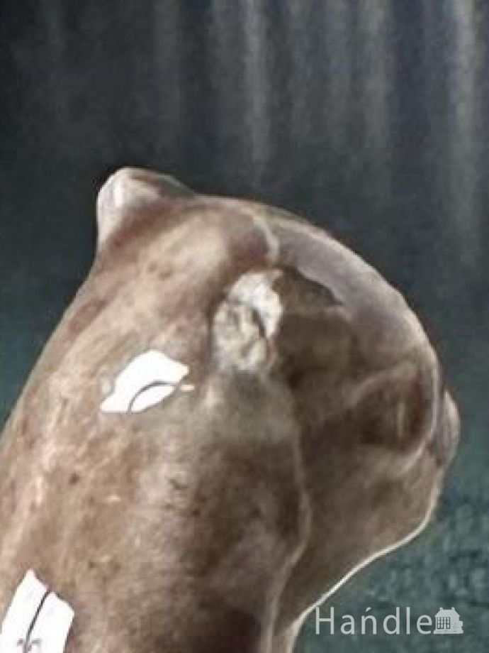 カケがありました。