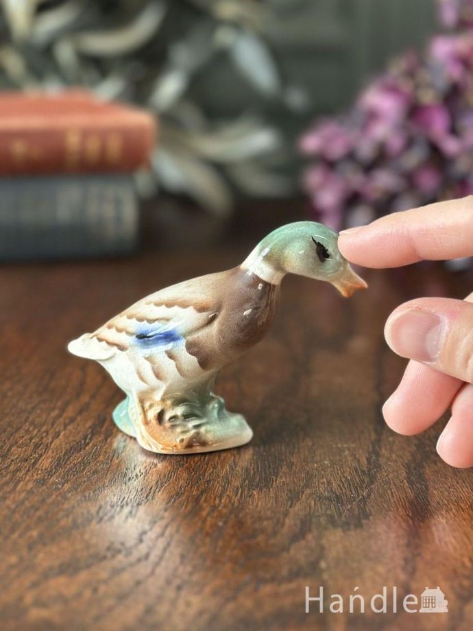 大きさはこれくらいです