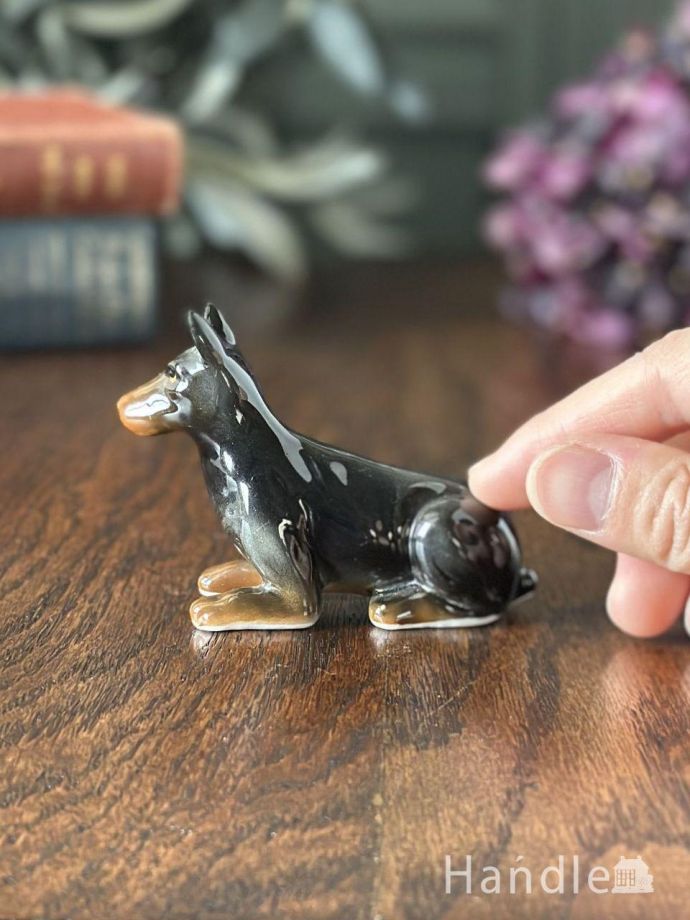 大きさはこれくらいです