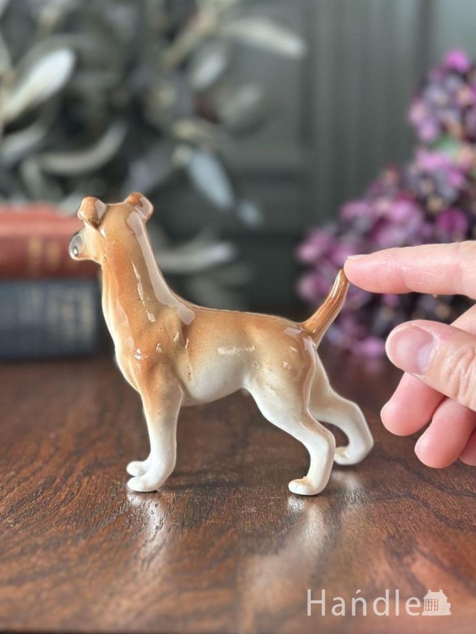 大きさはこれくらいです