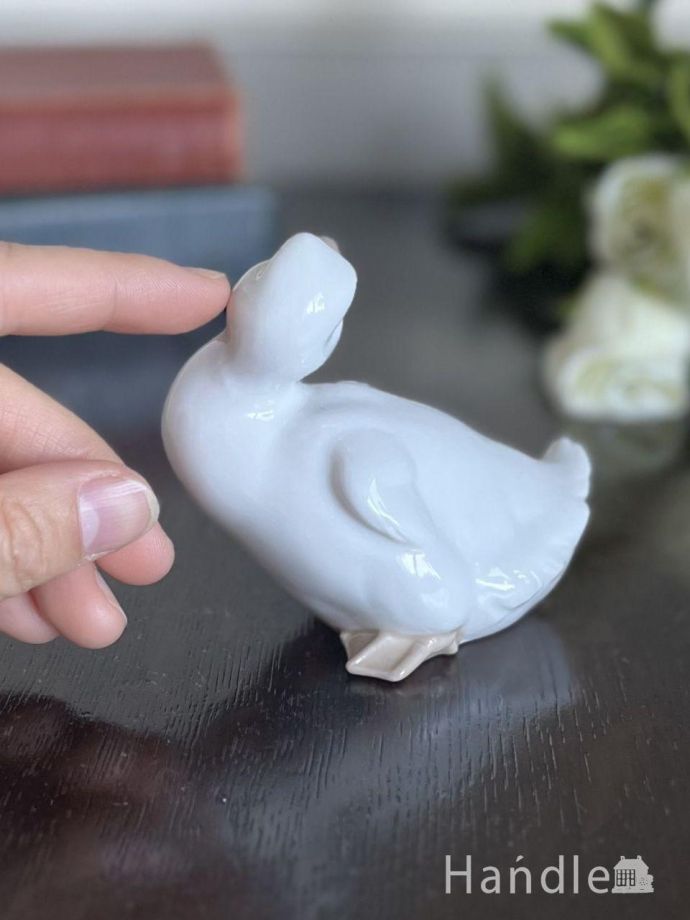 大きさはこれくらいです