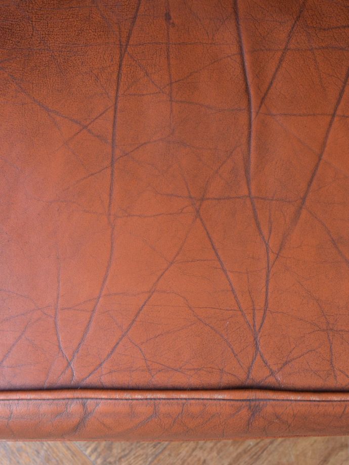 近くで見るとこんな感じ