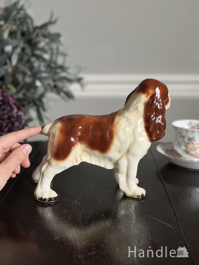 大きさはこれくらいです