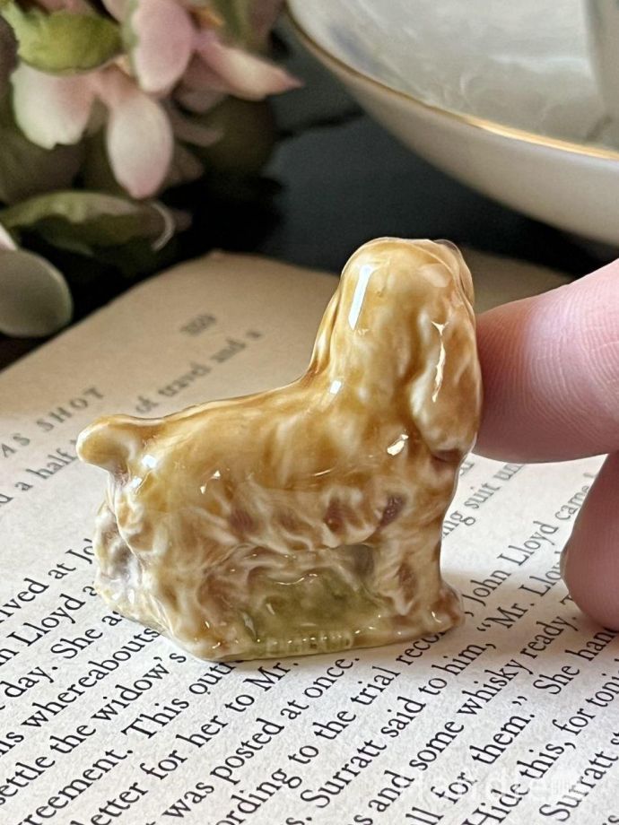 大きさはこれくらいです