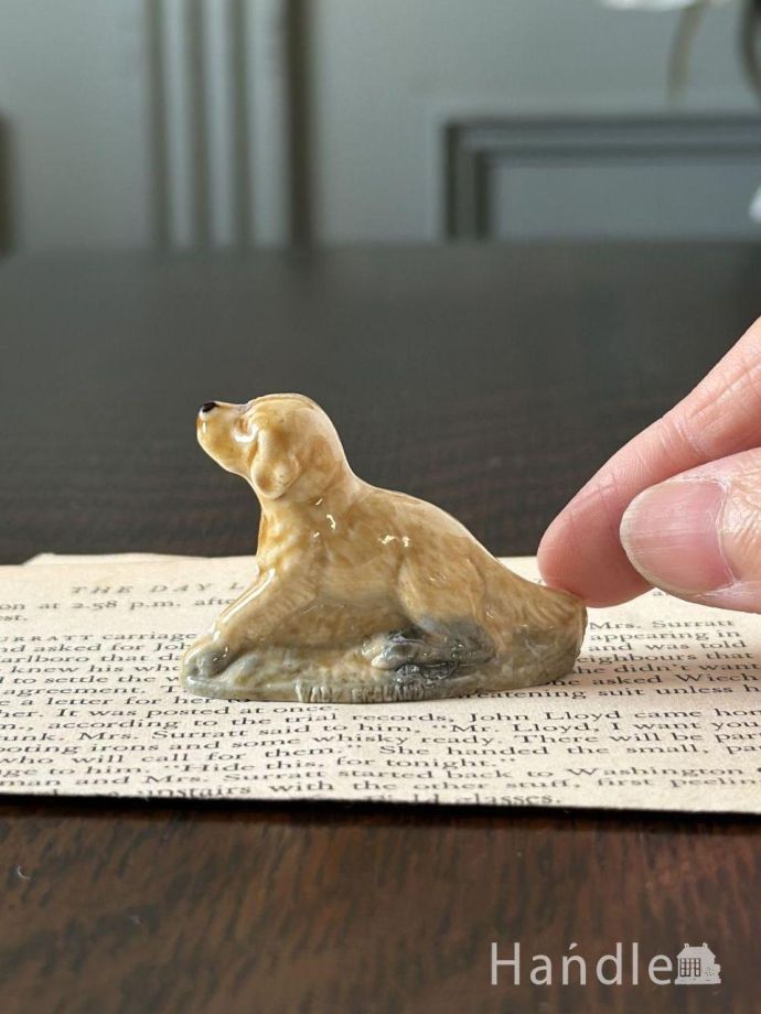 大きさはこれくらいです