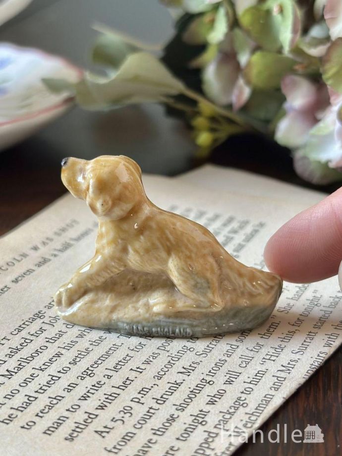 大きさはこれくらいです