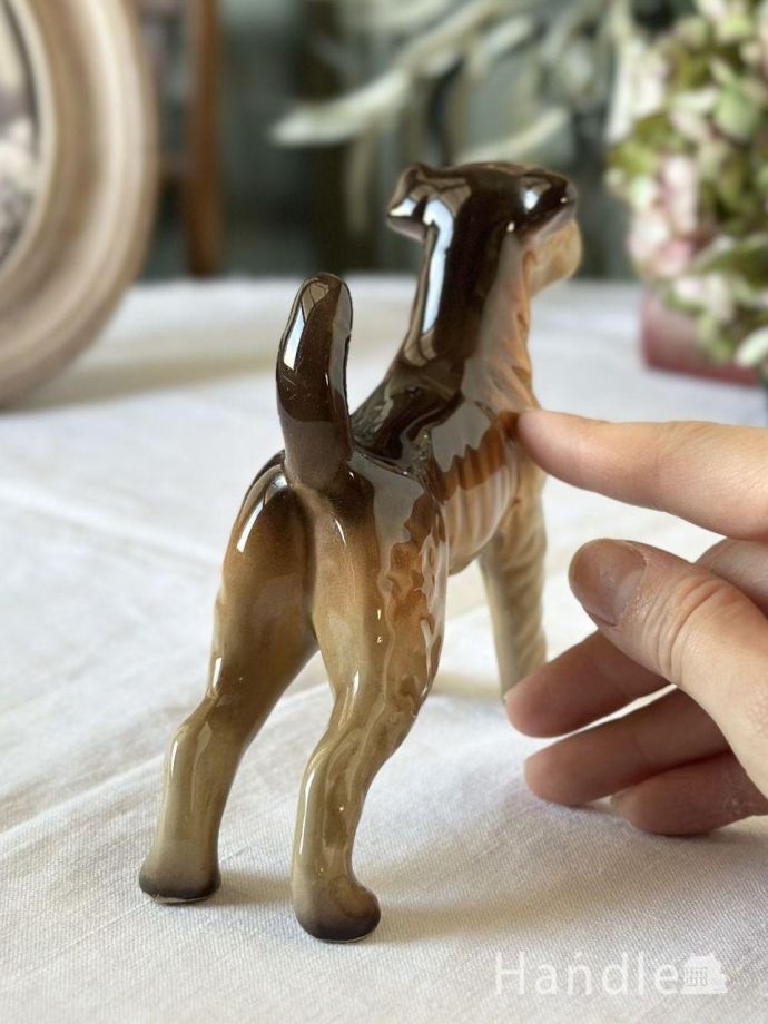 大きさはこれくらいです