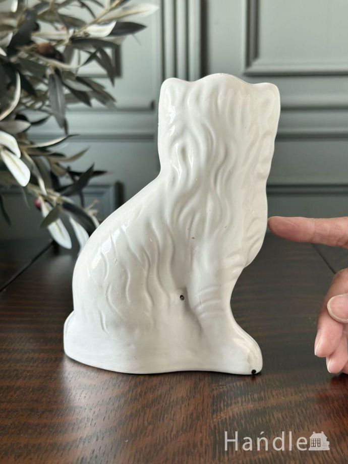 大きさはこれくらいです