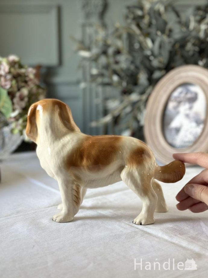 大きさはこれくらいです