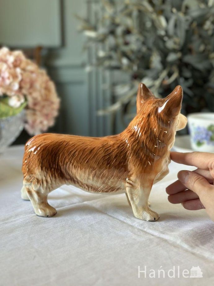 大きさはこれくらいです