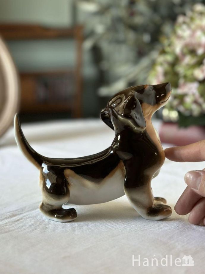 大きさはこれくらいです